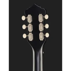 Recording King RDS-9-TS
