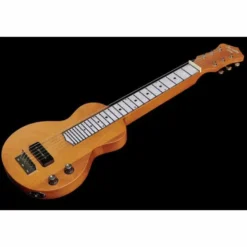 Recording King RG-31-NA Lap Steel