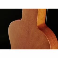 Recording King RG-31-NA Lap Steel