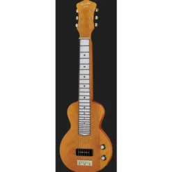 Recording King RG-31-NA Lap Steel