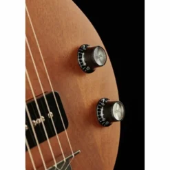 Recording King RG-31-NA Lap Steel