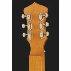 Recording King RG-31-NA Lap Steel