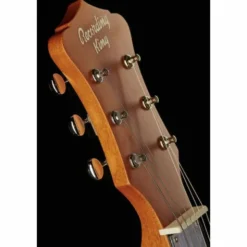Recording King RG-31-NA Lap Steel