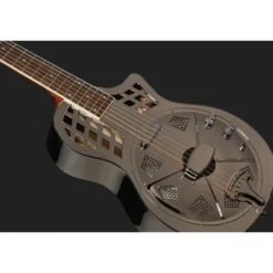 Recording King RM-994E-PN Cutaway