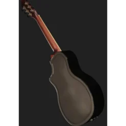 Recording King RM-994E-PN Cutaway