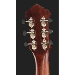 Recording King RM-994E-PN Cutaway