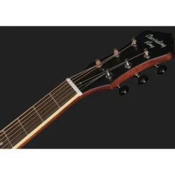 Recording King RM-994E-PN Cutaway