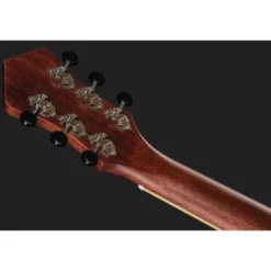 Recording King RM-994E-PN Cutaway