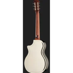 Recording King RM-994E-PN Cutaway