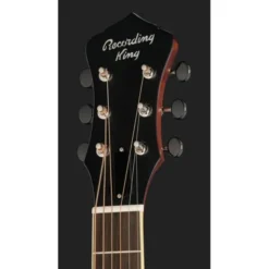 Recording King RM-994E-PN Cutaway