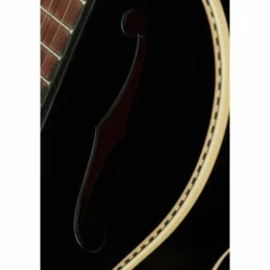 Recording King RPH-R2-MBK Dirty 30s Resonator