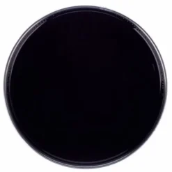 Remo 12" Ambassador Ebony