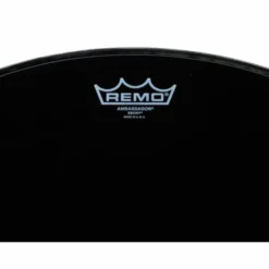 Remo 22