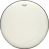 Remo 24" Ambassador White Smooth