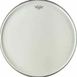 Remo 22