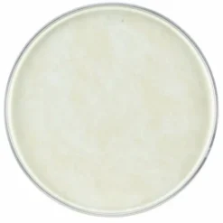 Remo 22" Fiberskyn 3 Thin (FD)