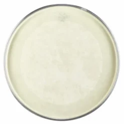 Remo 18" Powerstroke 3 Fiberskyn 3
