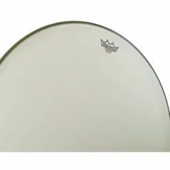 Remo 24 Renaissance Ambassador Bass