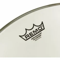 Remo 20 Renaissance Ambassador Bass