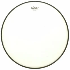 Remo 11" Renaissance High Collar