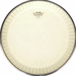 Remo 11,75