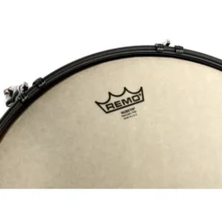 Remo 18