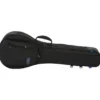 Reunion Blues Expedition Banjo Case