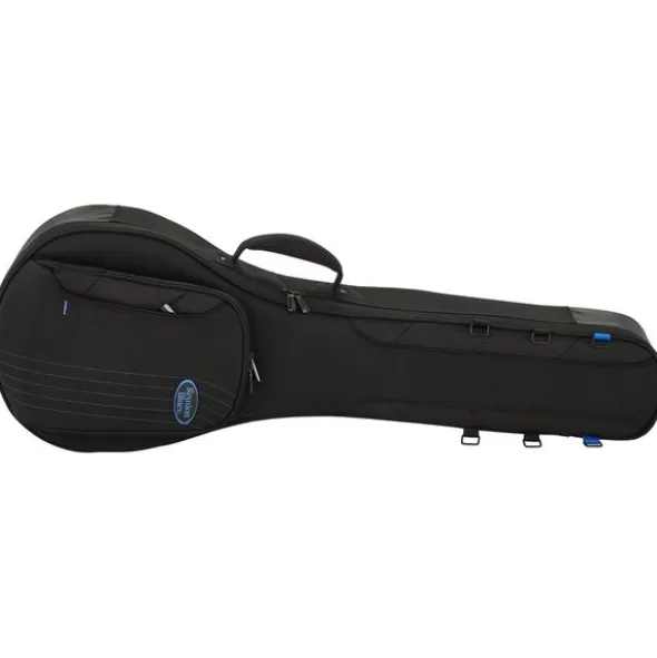 Reunion Blues Expedition Banjo Case
