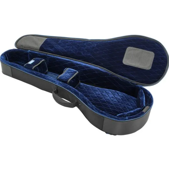 Reunion Blues Expedition Banjo Case