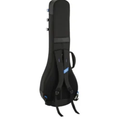 Reunion Blues Expedition Banjo Case