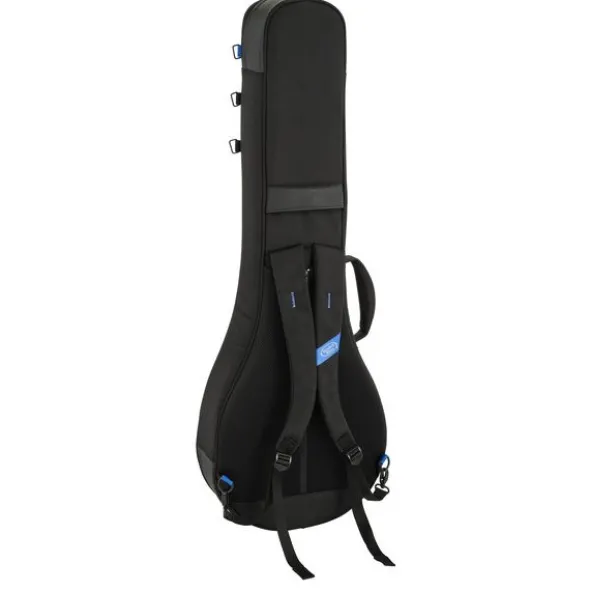Reunion Blues Expedition Banjo Case