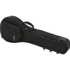 Reunion Blues Expedition Banjo Case