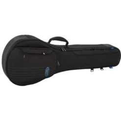 Reunion Blues Expedition Banjo Case