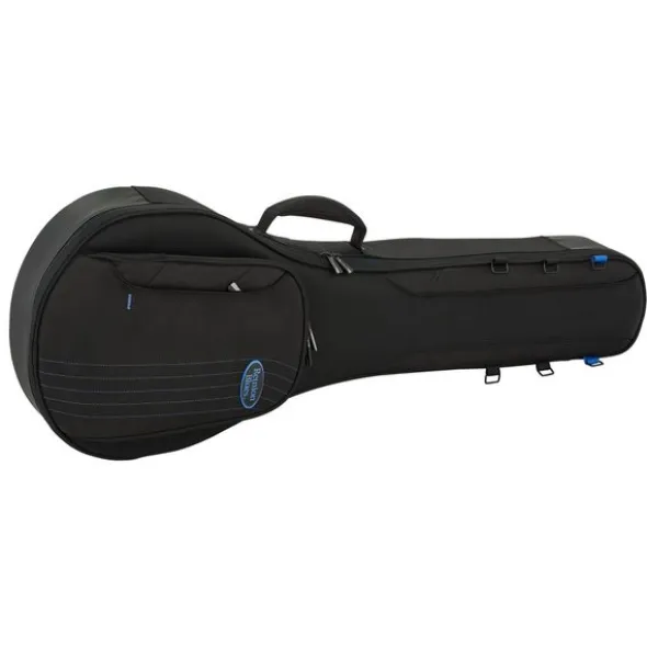 Reunion Blues Expedition Banjo Case