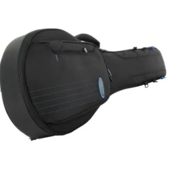 Reunion Blues Expedition Banjo Case