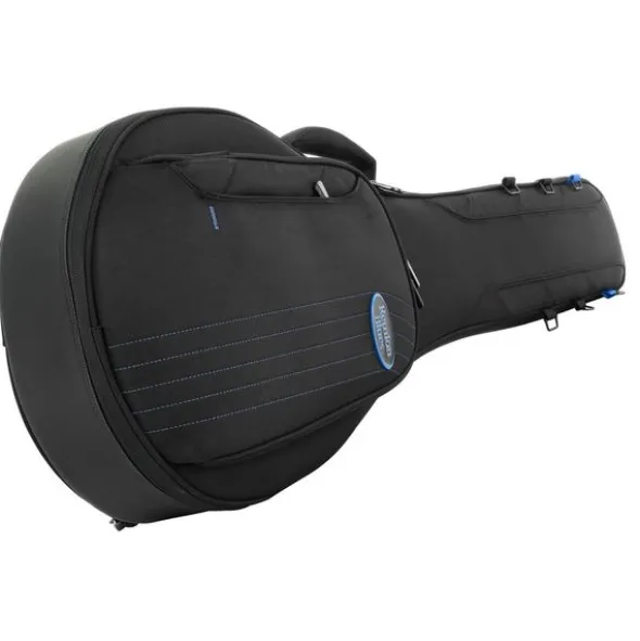 Reunion Blues Expedition Banjo Case