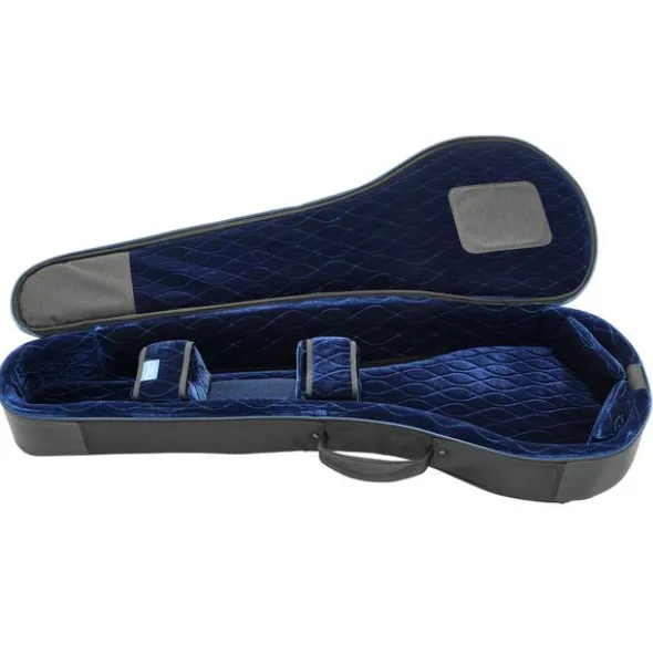 Reunion Blues Expedition Banjo Case