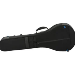 Reunion Blues Expedition Banjo Case
