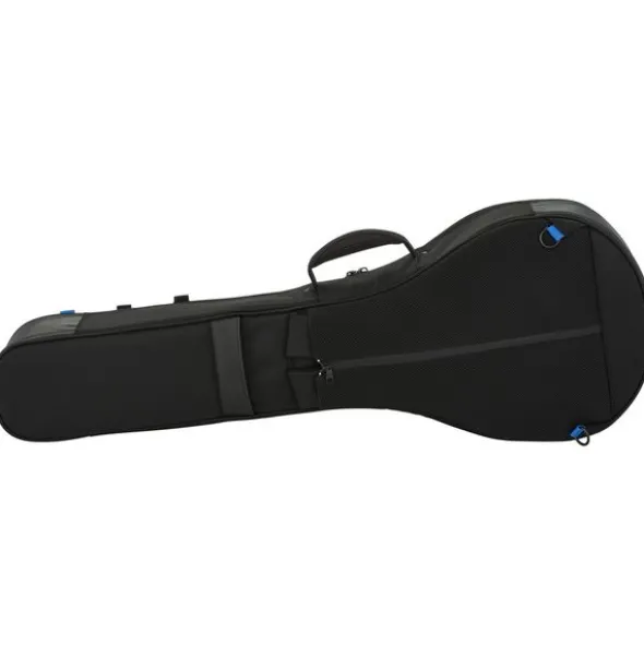Reunion Blues Expedition Banjo Case