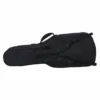 Reunion Blues RBX-2E Double Electric Guitar