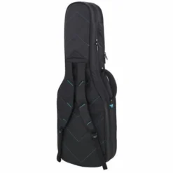Reunion Blues RBX-2E Double Electric Guitar