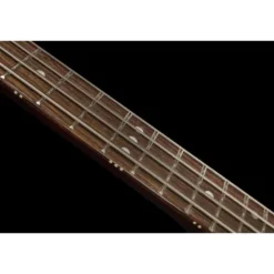 Reverend Mike Watt Wattplower MkII RBS
