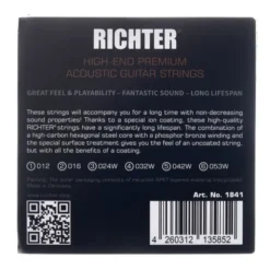 Richter Strings 12-53 Acoustic PH