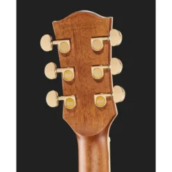Richwood G-70 CE VA