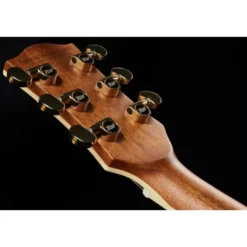 Richwood G-70 CE VA