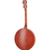 Richwood RMB-904-SS Tenor Banjo