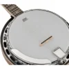 Richwood RMB-906 6 String Banjo