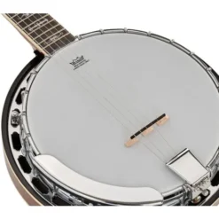 Richwood RMB-906 6 String Banjo