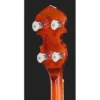 Richwood RMB-904 Tenor Banjo