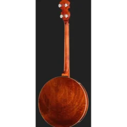 Richwood RMB-904 Tenor Banjo